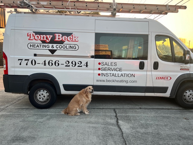Tony Beck dog